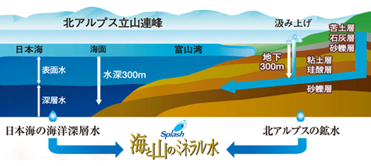 �C�m�[�w���Ɩk�A���v�X�̍z�����u�����h