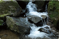 �L�����R���S�k�L�����咩