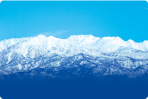 �x�R���x�R�s�w����