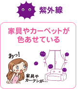 �y���O���z�Ƌ��J�[�y�b�g���F�����Ă���