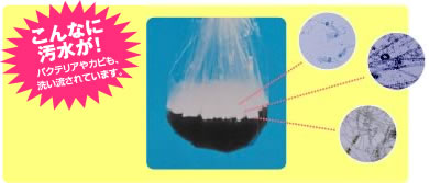 ����Ȃɉ������I�o�N�e���A��J�r���A�􂢗�����Ă��܂�