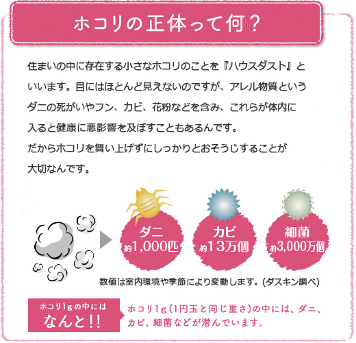 �z�R���̐��̂��ĉ��H�Z�܂��̒��ɑ��݂��鏬���ȃz�R���̂��Ƃ��w�n�E�X�_�X�g�x�Ƃ����܂��B�ڂɂ͂قƂ�ǌ����Ȃ��̂ł����A�A���������Ƃ����_�j�̎�������t���A�J�r�A�ԕ��Ȃǂ��܂݁A����炪�̓���
����ƌ��N�Ɉ��e�����y�ڂ����Ƃ������ł��B������z�R���𕑂��グ���ɂ�������Ƃ����������邱�Ƃ���؂Ȃ�ł��B