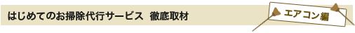 はじめてのお掃除代行サービス　徹底取材　エアコン編