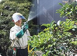 �����̊Q���Ŗ��ƂȂ�̂́A�Q���������Ȃ����Ƃł�(��Q���������Ȃ�)�B�����Q�����Q���ڂɕt�������ł͒x���̂ł��B�����E�����ȓ��{�ł͎��؂̕a�C�̔����ɂ͍D�s���ȏ�����������Ă��܂��B�g�D���O���[���́A���������E�����ގ��ɓw�߂܂��B