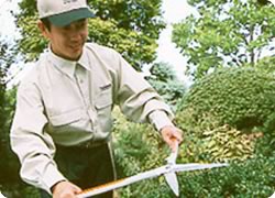 �����������ƒ���I�ș��肪�K�v�ł��B