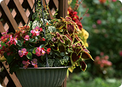 ����S�̂̑�|����ȑ����H������A��؂̐A���ւ��܂ǁA����̂�����Ƃ������t�H�[���܂őΉ����܂��B